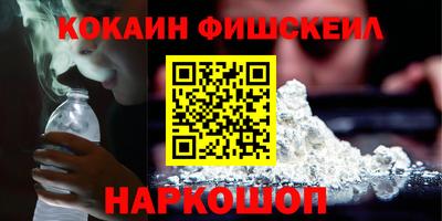 крисы Дубна