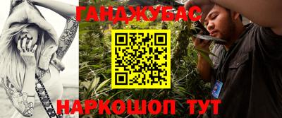 крисы Дубна