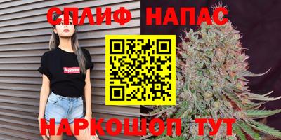 PSILOCYBIN Донской