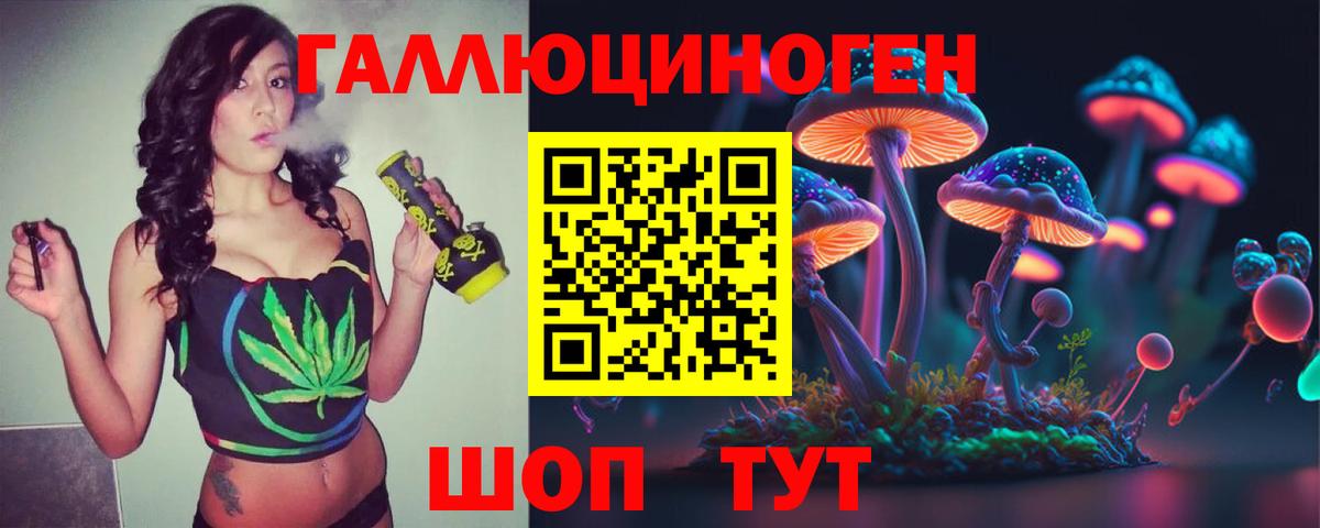 купить  сайты  Вход с VPN  Красноярск  Галлюциногенные грибы прущие грибы 